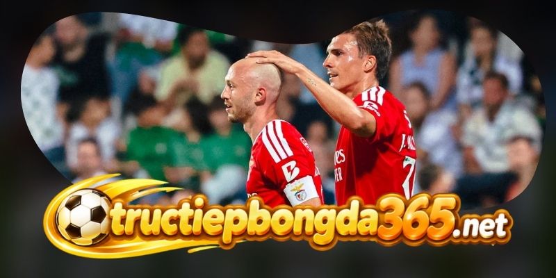 AC Milan giữ nhịp chắc chắn nhờ cấu trúc mới tại San Siro