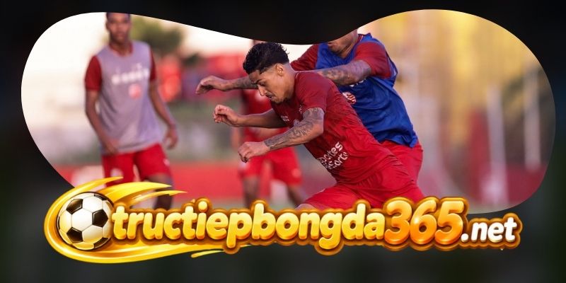 Gợi ý chốt kèo tổng hợp trận Cuiaba vs Nautico (PE) ngày 22/09